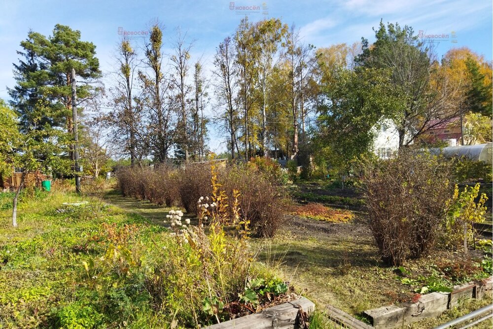 с. Логиново, к/с Путеец (городской округ Белоярский) - фото сада (4)