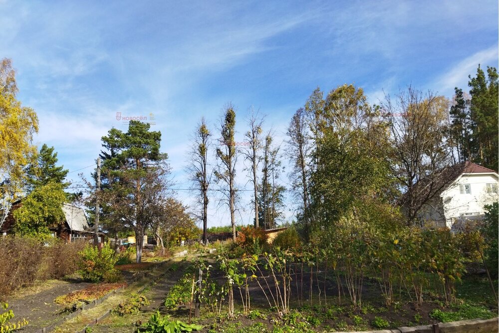 с. Логиново, к/с Путеец (городской округ Белоярский) - фото сада (6)