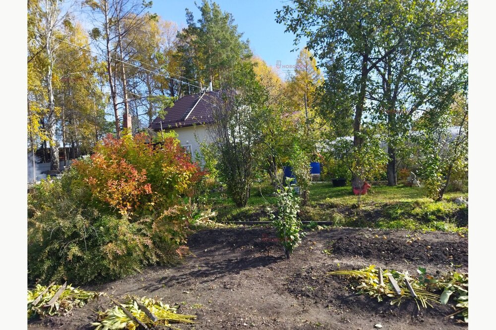 с. Логиново, к/с Путеец (городской округ Белоярский) - фото сада (7)