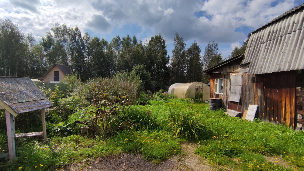 п. Монетный, Коллективный сад 20 (городской округ Березовский) - фото сада (2)