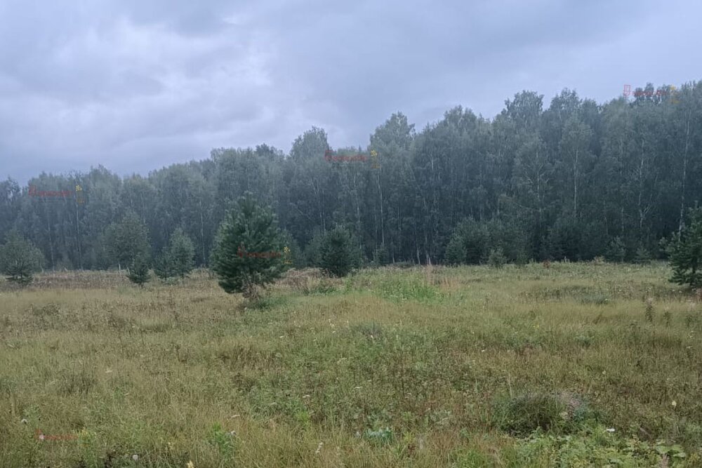 п. Монетный, ул. Свободы, 129 (городской округ Березовский) - фото земельного участка (6)