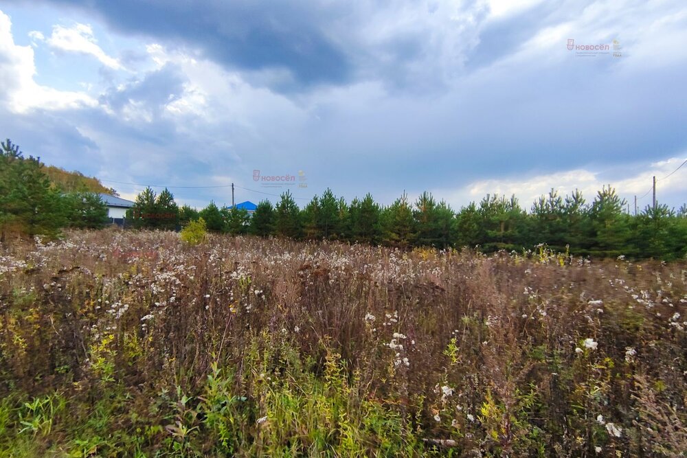 с. Малобрусянское, ул. Главная (городской округ Белоярский) - фото земельного участка (4)