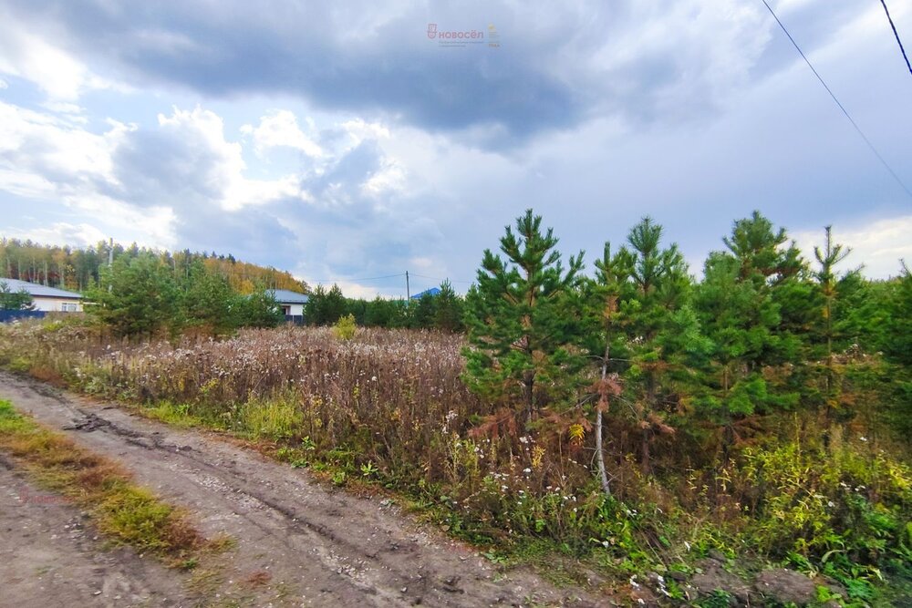 с. Малобрусянское, ул. Главная (городской округ Белоярский) - фото земельного участка (5)