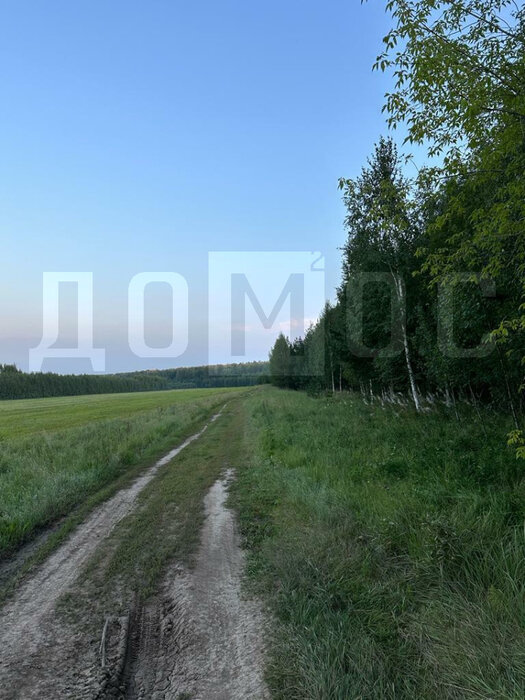 пгт. Верхнее Дуброво, ул. КСП Косулинское (городской округ Верхнее Дуброво) - фото земельного участка (2)