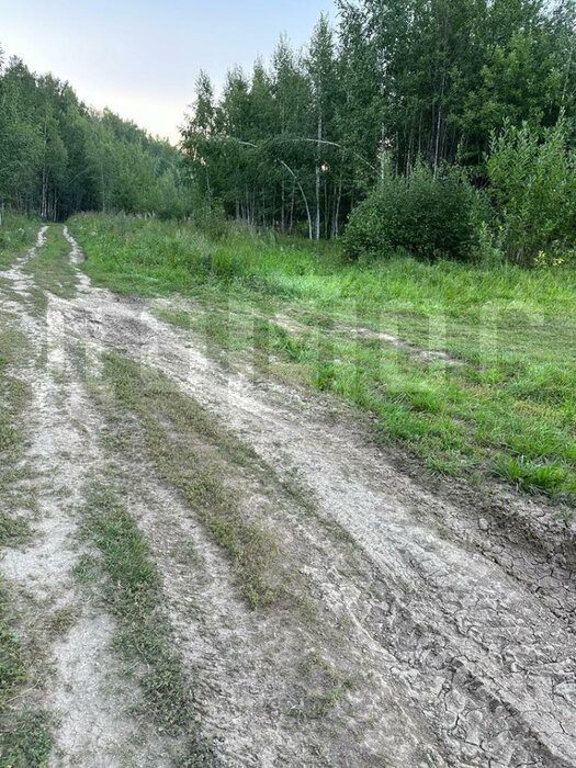 пгт. Верхнее Дуброво, ул. КСП Косулинское (городской округ Верхнее Дуброво) - фото земельного участка (3)