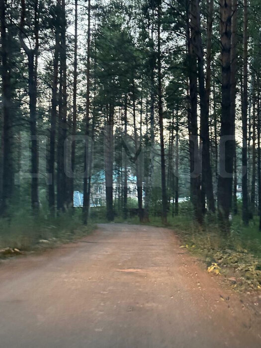 пгт. Верхнее Дуброво, ул. КСП Косулинское (городской округ Верхнее Дуброво) - фото земельного участка (4)