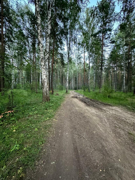 пгт. Верхнее Дуброво, ул. КСП Косулинское (городской округ Верхнее Дуброво) - фото земельного участка (5)