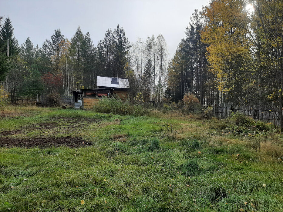 п. Аять, СНТ Гудок (городской округ Невьянский) - фото сада (1)