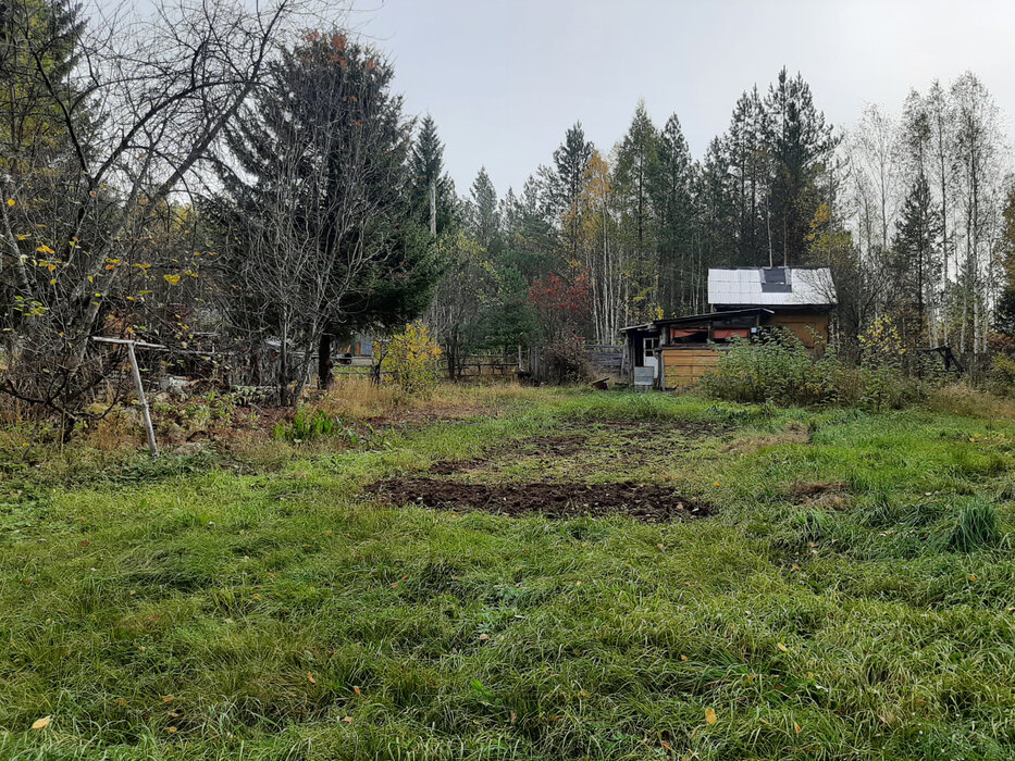 п. Аять, СНТ Гудок (городской округ Невьянский) - фото сада (2)