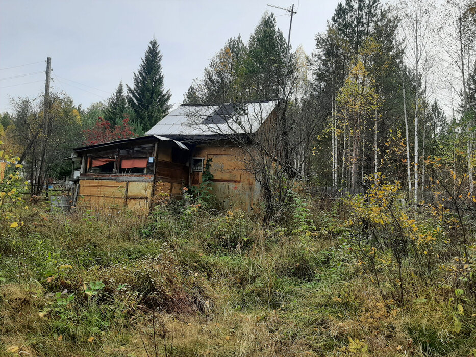 п. Аять, СНТ Гудок (городской округ Невьянский) - фото сада (3)