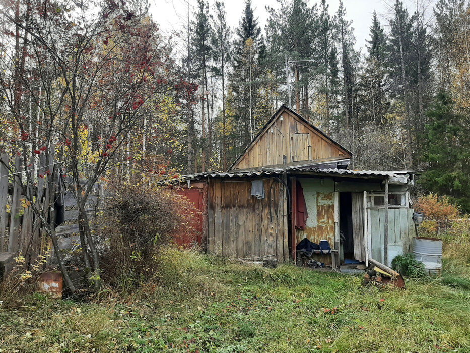 п. Аять, СНТ Гудок (городской округ Невьянский) - фото сада (4)