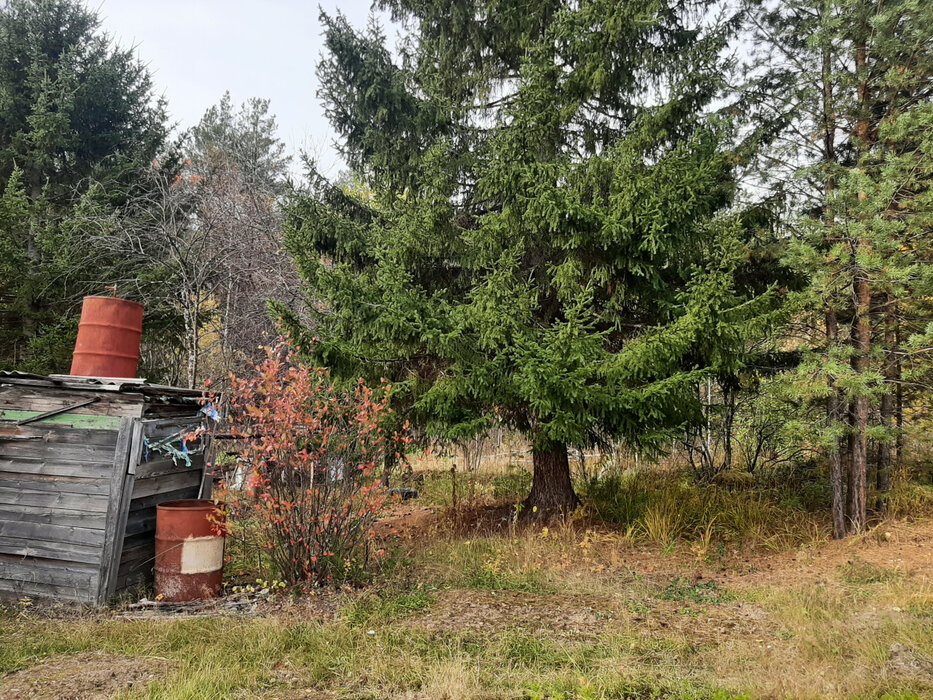 п. Аять, СНТ Гудок (городской округ Невьянский) - фото сада (6)