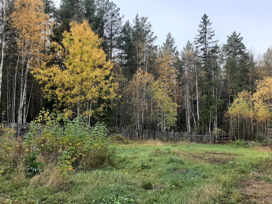 п. Аять, СНТ Гудок (городской округ Невьянский) - фото сада (8)