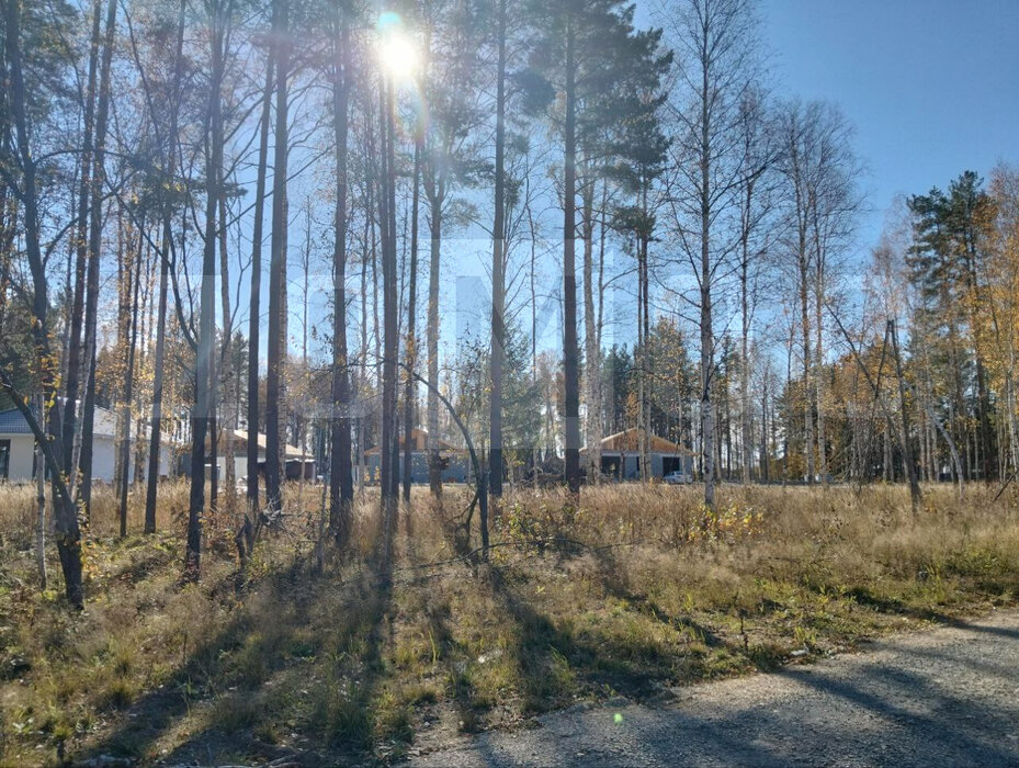 к.п. Белые Росы, ул. Земляничная (городской округ Полевской, с. Курганово) - фото земельного участка (1)