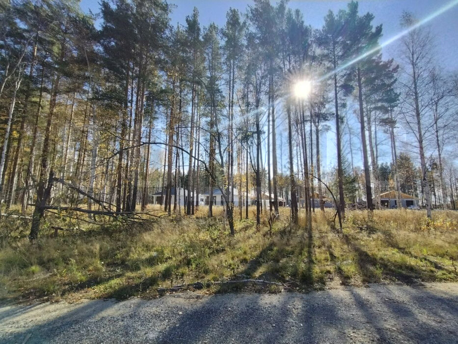 к.п. Белые Росы, ул. Земляничная (городской округ Полевской, с. Курганово) - фото земельного участка (2)