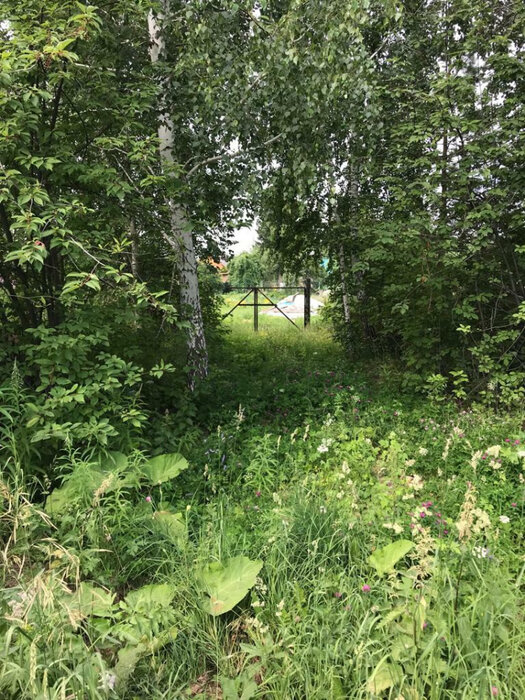 п. Гагарский, ул. Октябрьская, 12 (городской округ Белоярский) - фото земельного участка (1)