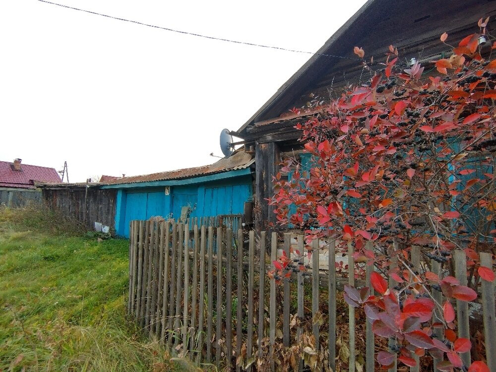 д. Перебор, ул. Ленина, 25 (городской округ Каменский) - фото дома (6)