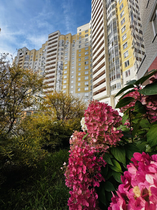 Екатеринбург, ул. Островского, 1 (Автовокзал) - фото квартиры (1)