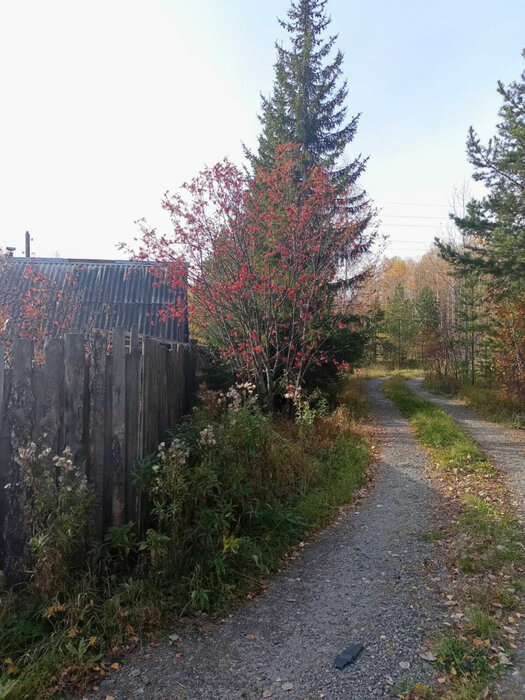 п. Октябрьский (г.о. Березовский), ул. Береговая аллея (городской округ Березовский) - фото земельного участка (3)