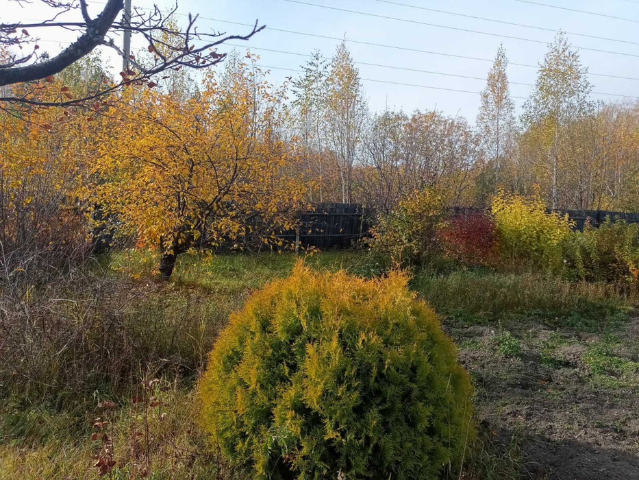 п. Октябрьский (г.о. Березовский), ул. Береговая аллея (городской округ Березовский) - фото земельного участка (4)