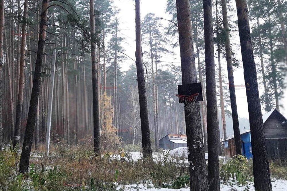 г. Березовский, коллективный сад № 41 Панорама, уч. 17 (городской округ Березовский) - фото сада (6)