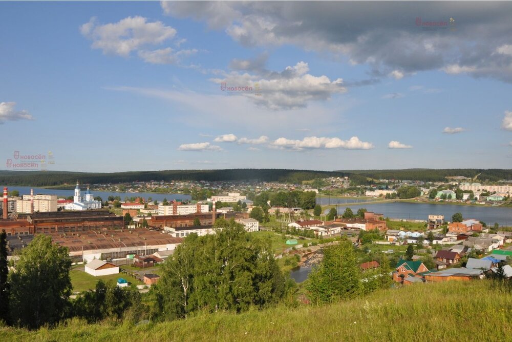 поселок городского типа Верхние Серги, ул. Ленина, 100 (городское поселение Верхнесергинское) - фото дома (3)