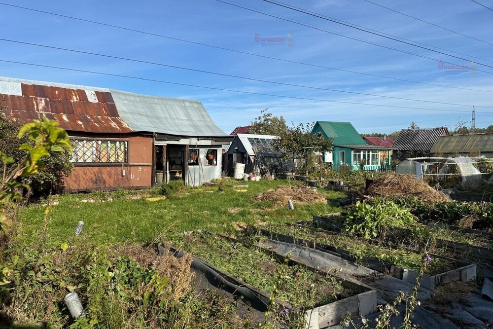 г. Среднеуральск, СНТ Энергетик-2 (городской округ Среднеуральск) - фото сада (3)