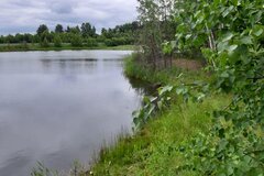 д.Осиновка, ул. Центральная (городской округ Невьянский) - фото земельного участка