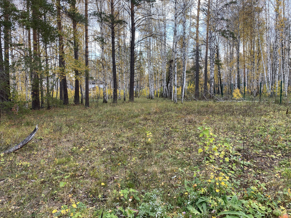 к.п. Заповедник, ул. Косуля, 108 (городской округ Сысертский, п. Габиевский) - фото земельного участка (1)