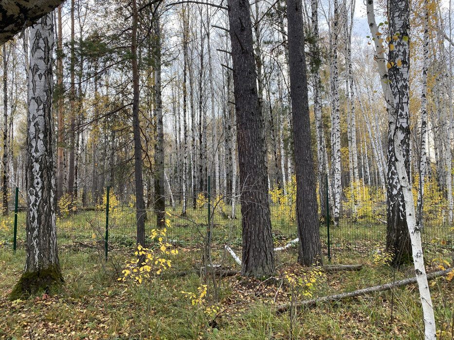 к.п. Заповедник, ул. Косуля, 108 (городской округ Сысертский, п. Габиевский) - фото земельного участка (3)