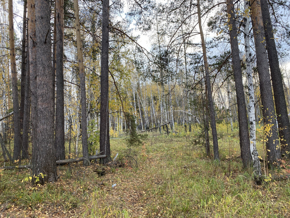 к.п. Заповедник, ул. Косуля, 108 (городской округ Сысертский, п. Габиевский) - фото земельного участка (5)