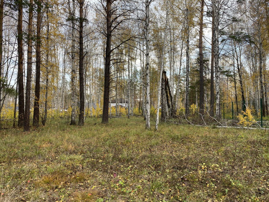 к.п. Заповедник, ул. Косуля, 108 (городской округ Сысертский, п. Габиевский) - фото земельного участка (6)