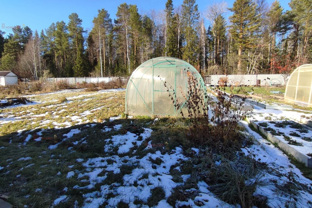 пгт. Билимбай, к/с №86, уч. 4 (городской округ Первоуральск) - фото сада (7)