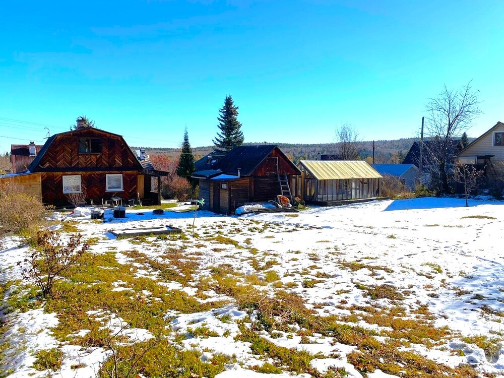 с. Тарасково, снт рябинушка, уч. 29 (городской округ Новоуральский) - фото сада (2)