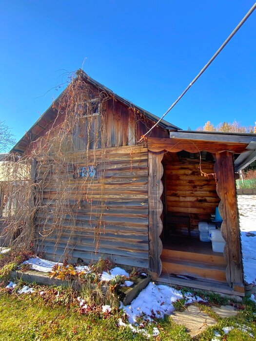 с. Тарасково, снт рябинушка, уч. 29 (городской округ Новоуральский) - фото сада (3)