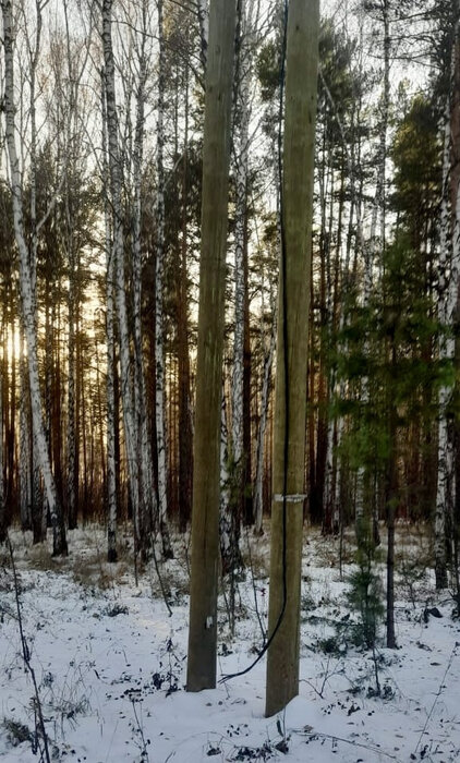 п. Растущий, ул. КП Растущий (городской округ Белоярский) - фото земельного участка (4)