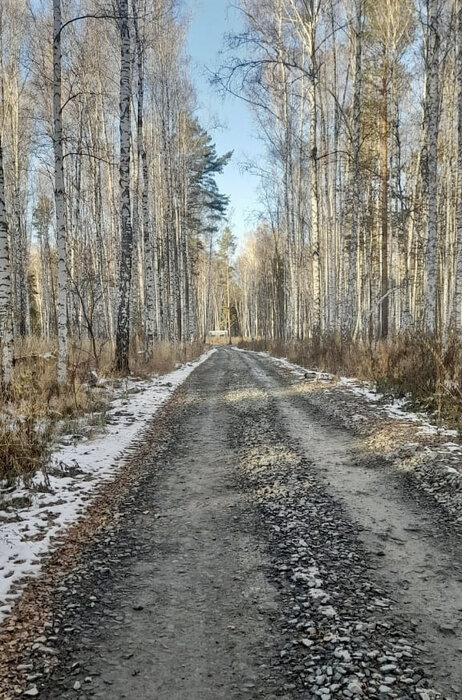 п. Растущий, ул. КП Растущий (городской округ Белоярский) - фото земельного участка (5)