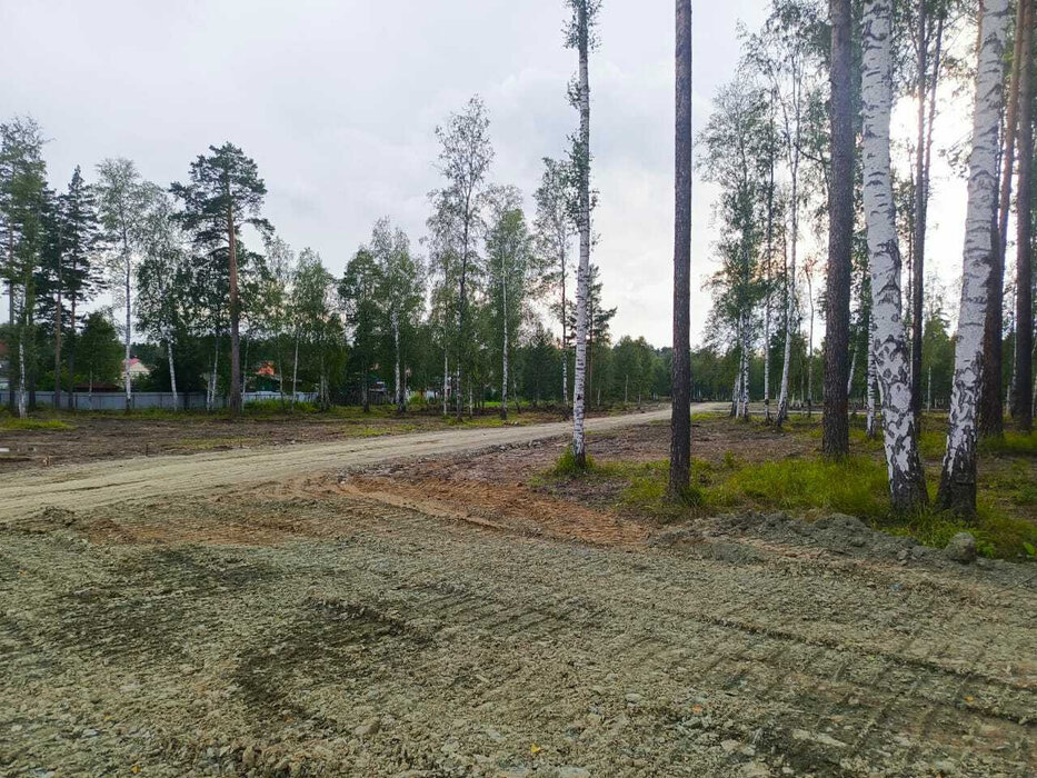 г. Верхняя Пышма, рядом с СНТ Звёздочка (городской округ Верхняя Пышма) - фото сада (3)