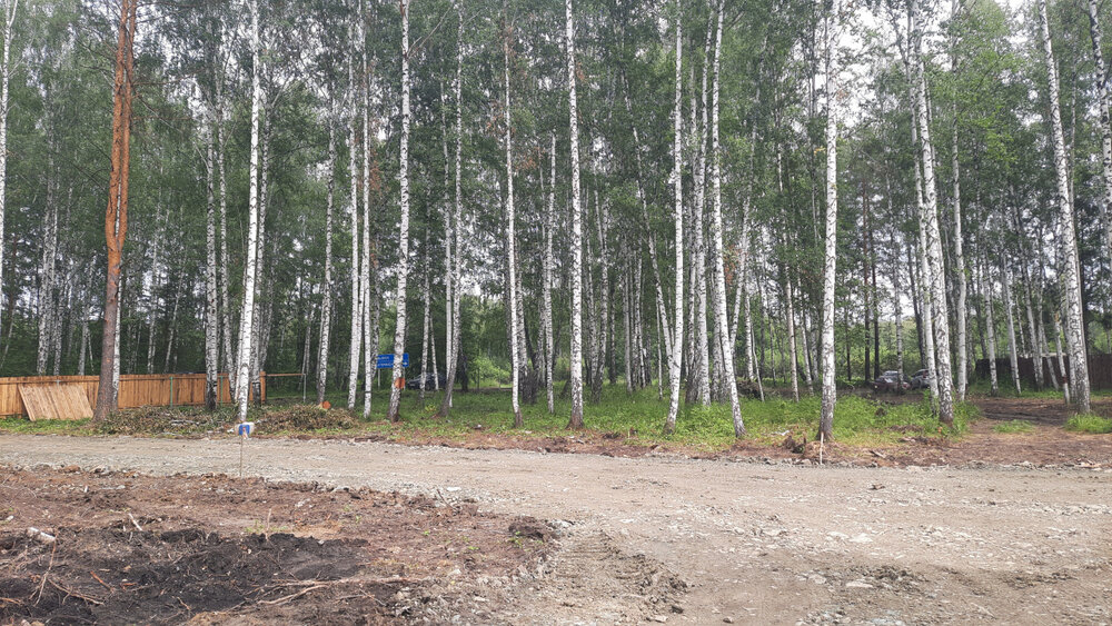 г. Верхняя Пышма, рядом с СНТ Звёздочка (городской округ Верхняя Пышма) - фото сада (5)