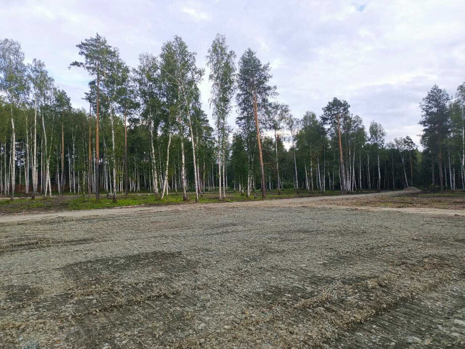 г. Верхняя Пышма, рядом с СНТ Звёздочка (городской округ Верхняя Пышма) - фото сада (6)