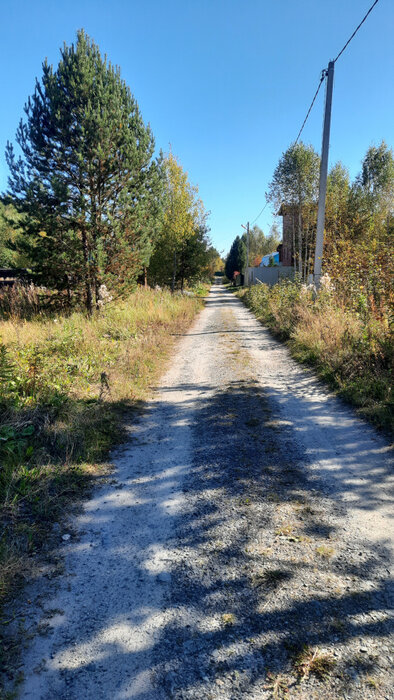 с. Мостовское (г.о. Вехняя Пышма), СНТ № 111 (городской округ Верхняя Пышма) - фото сада (1)