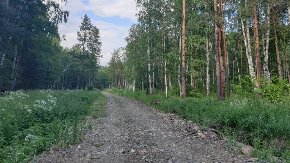 п. Прохладный, ул. Малиновая, 1 (городской округ Белоярский) - фото земельного участка (2)