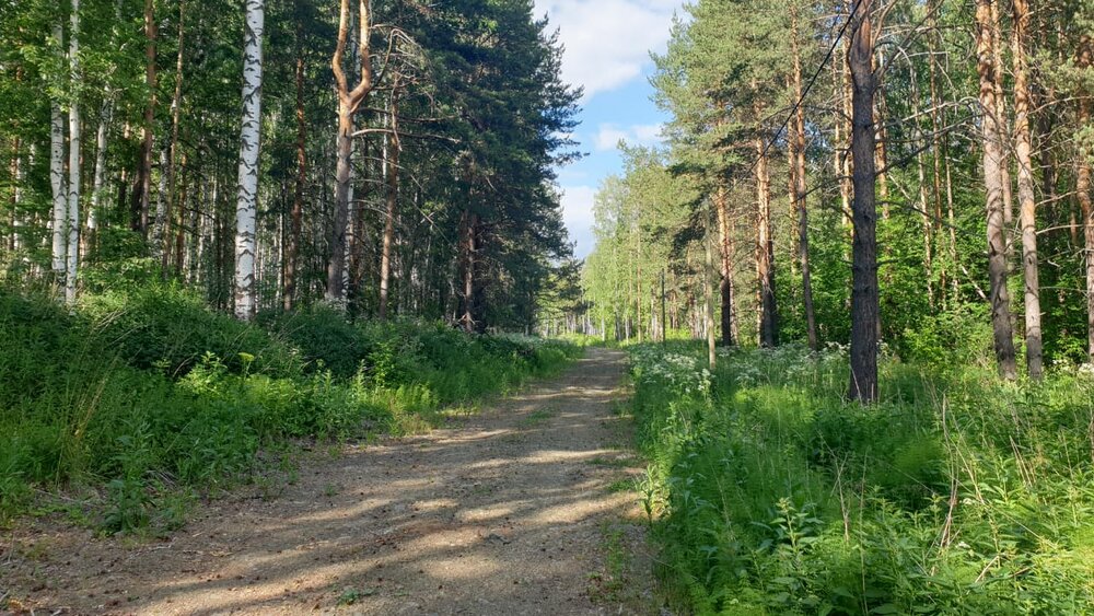 п. Прохладный, ул. Малиновая, 1 (городской округ Белоярский) - фото земельного участка (3)