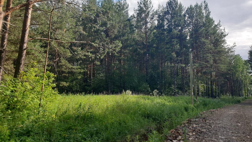 п. Прохладный, ул. Малиновая, 1 (городской округ Белоярский) - фото земельного участка (6)