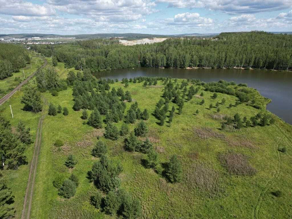 Екатеринбург, Шабровские дачи (Шабровский) - фото сада (7)