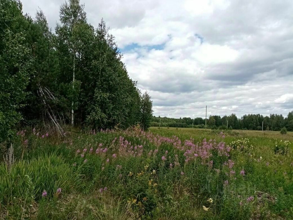 с. Кунгурка, ул. Рабоче-Крестьянская, 67 (городской округ Ревда) - фото земельного участка (3)