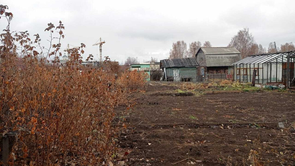 г. Верхняя Пышма, СНТ Пион, ул. Успенский, 2/26 (городской округ Верхняя Пышма) - фото сада (5)