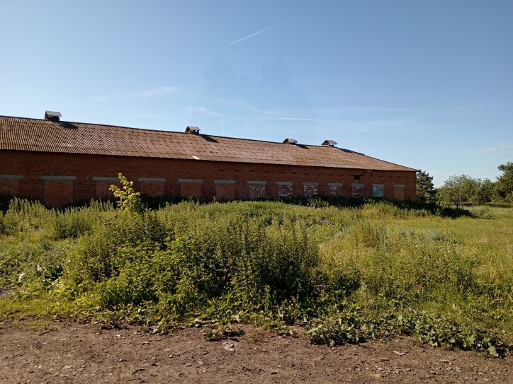 п. Совхозный, ул. Совхозная, 20 (городской округ Белоярский) - фото земельного участка (2)