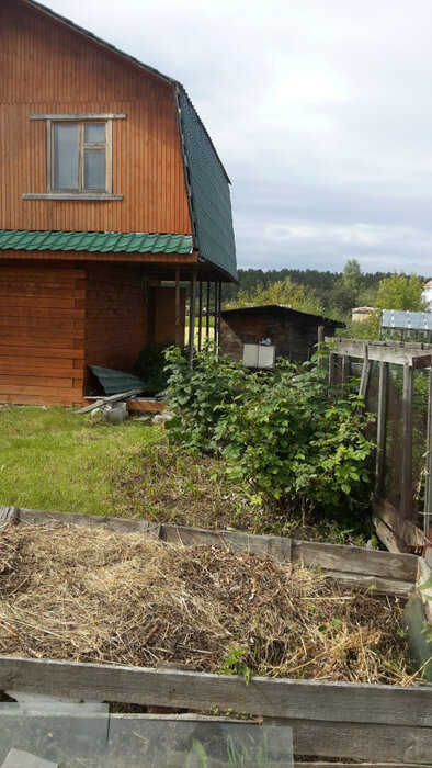 г. Березовский, коллективный сад №38, уч. 29 (городской округ Березовский) - фото сада (6)