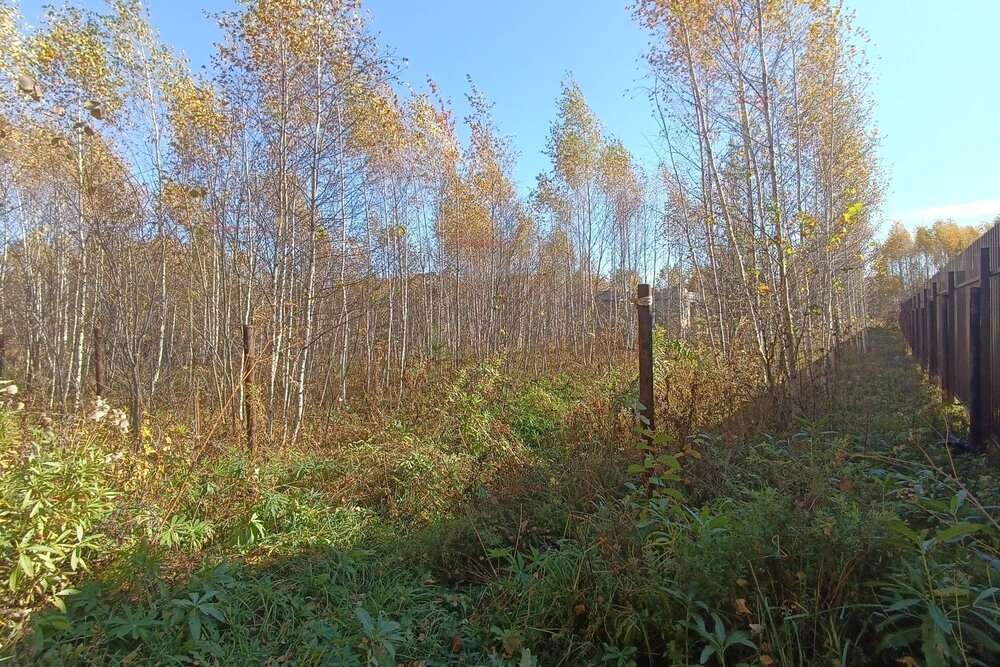 п. Белоярская Застава, ул. Белоярская, 27 (городской округ Белоярский) - фото земельного участка (3)